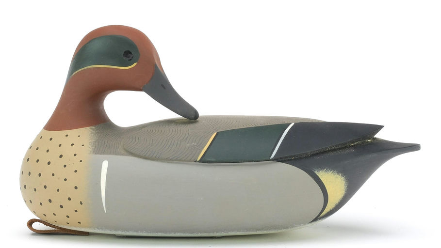 Jamie Hand – Green-winged Teal – 2024