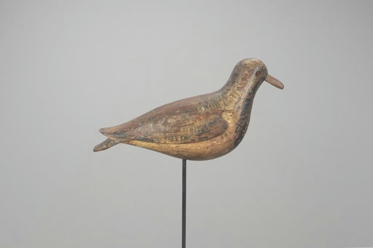 Frank Kellum – Black Bellied Plover – 2022