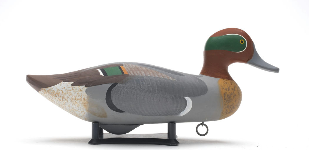 R. Madison Mitchell – Green-winged Teal – 2026