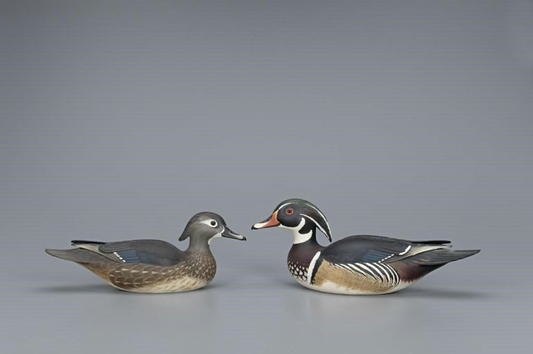 Oliver Lawson – Wood Duck Pair – 2019