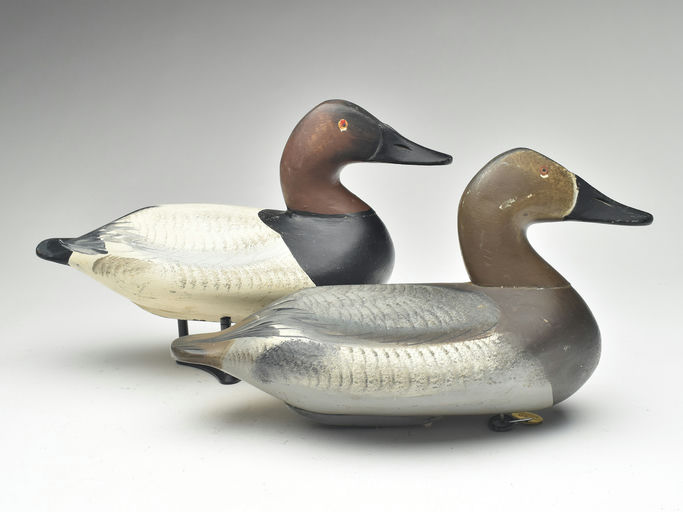 Henry Lockard – Canvasback – 2023