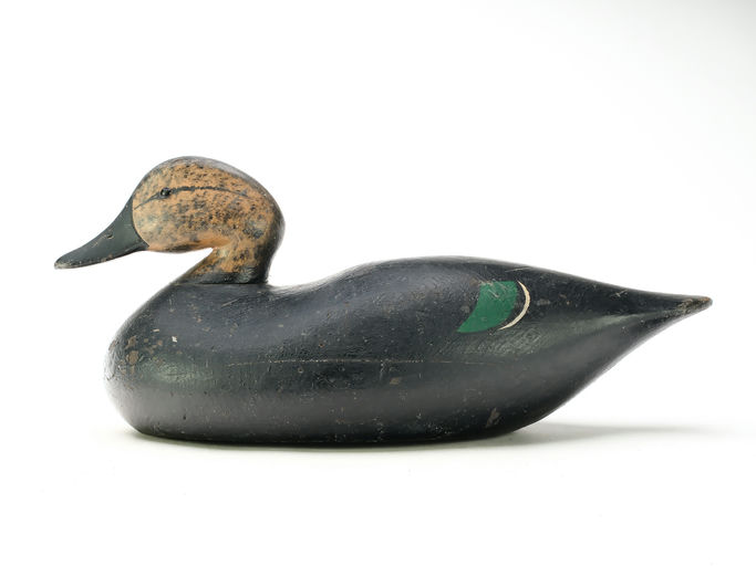Joseph Lincoln – Black Duck – 2025