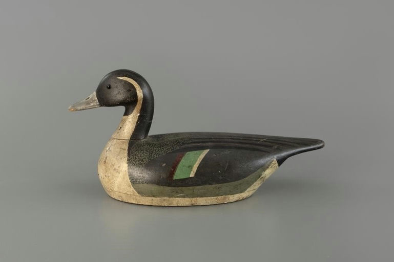 Verity Family – Pintail – 2025