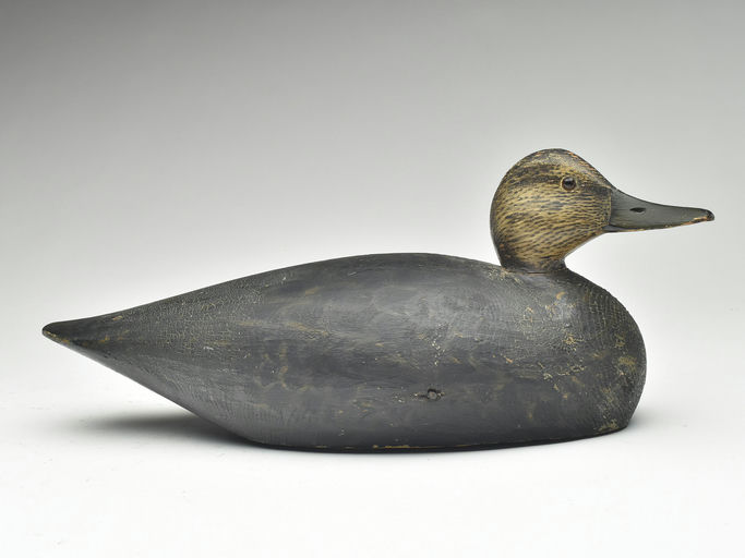 Elmer Crowell – Black Duck – 2023
