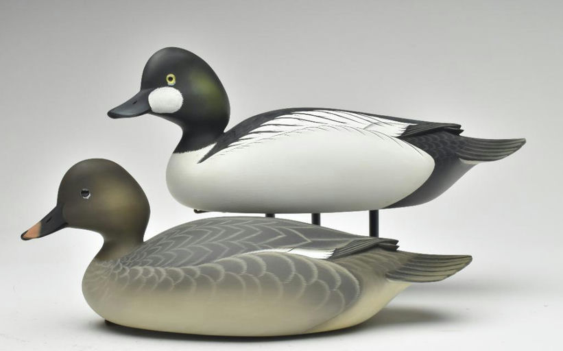 George Strunk – Pair of Goldeneye – 2023
