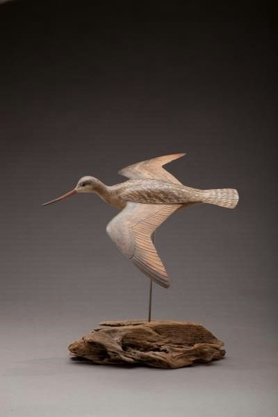 Bill Gibian – Flying Dowitcher – 2013