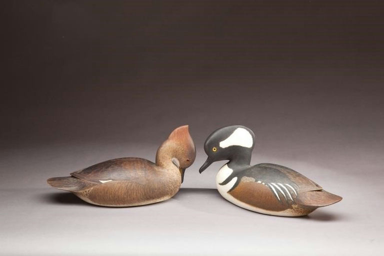 Harold Haertel – Hooded Merganser Pair – 2012