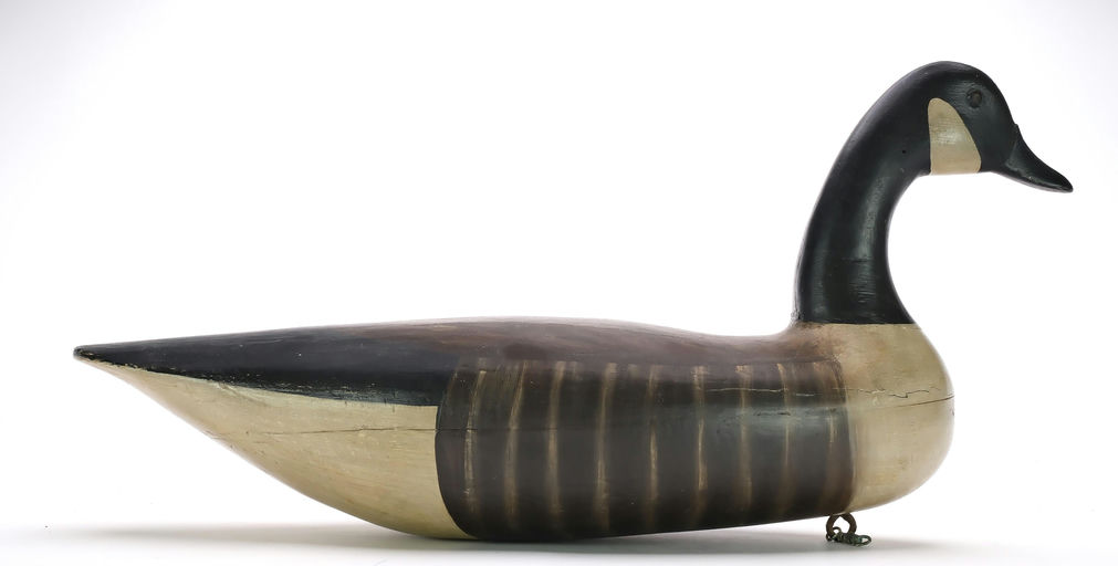 Harry V. Shourds – Canada Goose – 2024