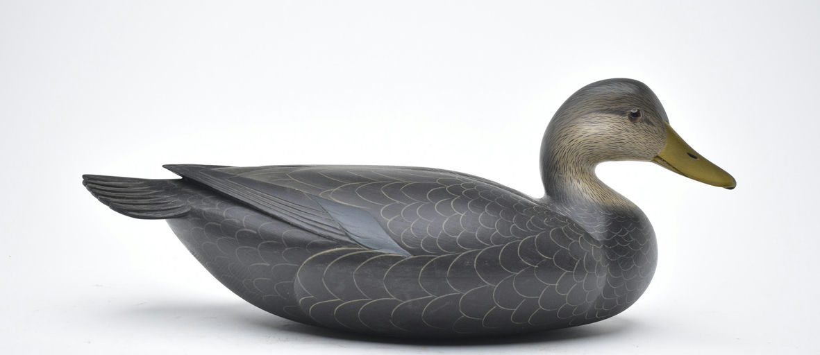 George Strunk – Black Duck – 2026