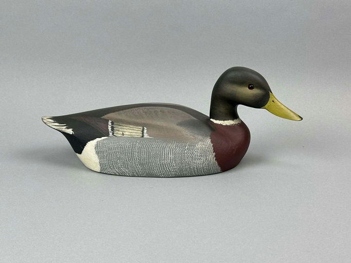 Ken Harris – Mallard Drake – 2026