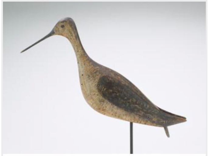 Marty Hanson – Greater Yellowlegs