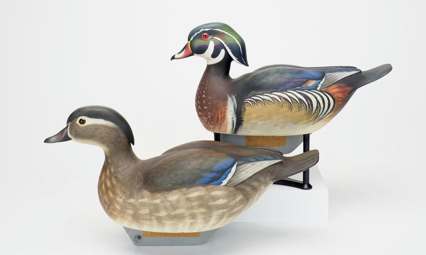 William J. Koelpin — Wood Duck Pair