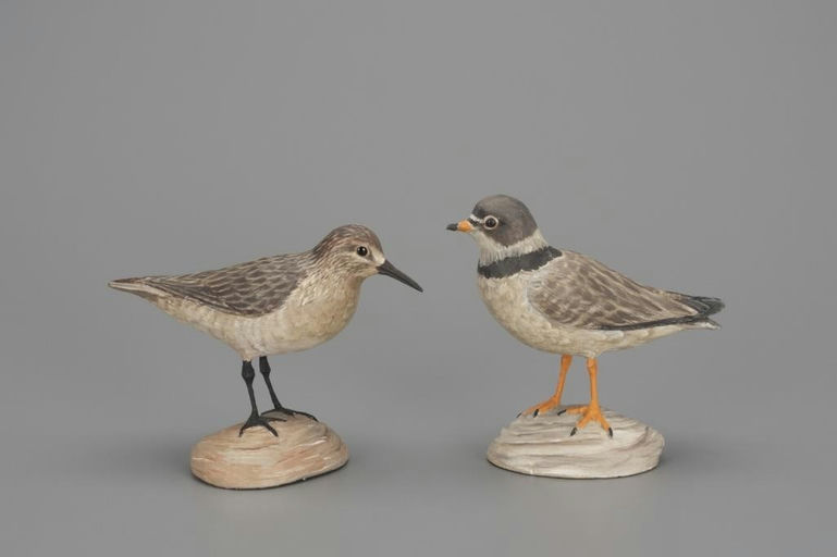 Davison B. Hawthorne – Two Shorebirds – 2018