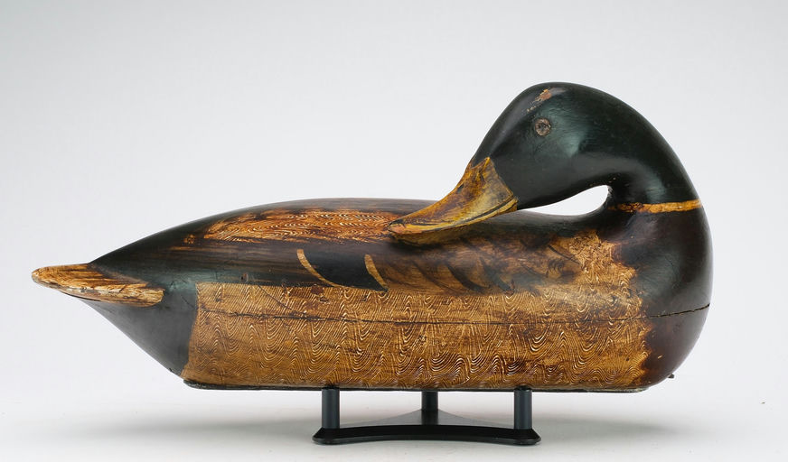 Robert Elliston – Preening Mallard – 2024