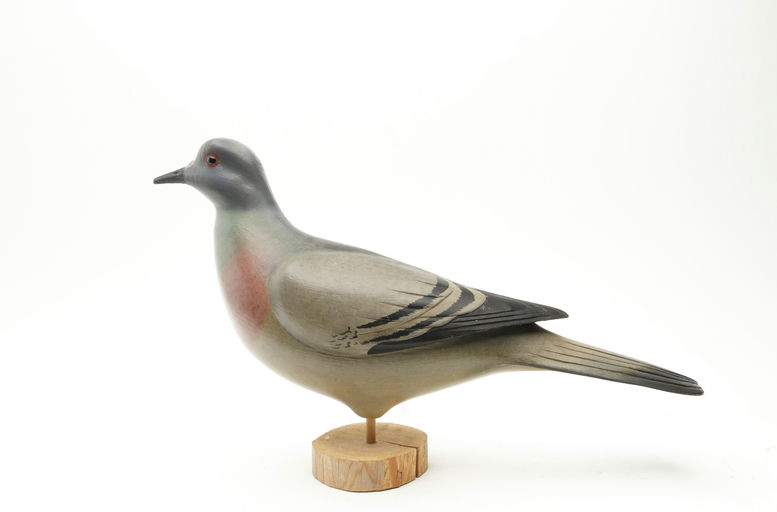 Bill Gibian – Passenger Pigeon – 2026