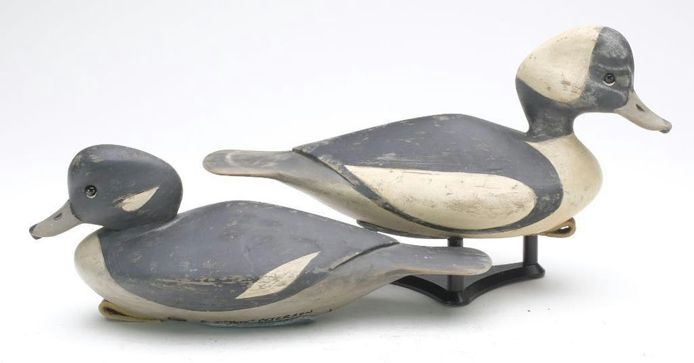 Pete Peterson – Pair of Bufflehead – 2023