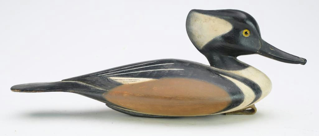 Pete Peterson – Hooded Merganser – 2024