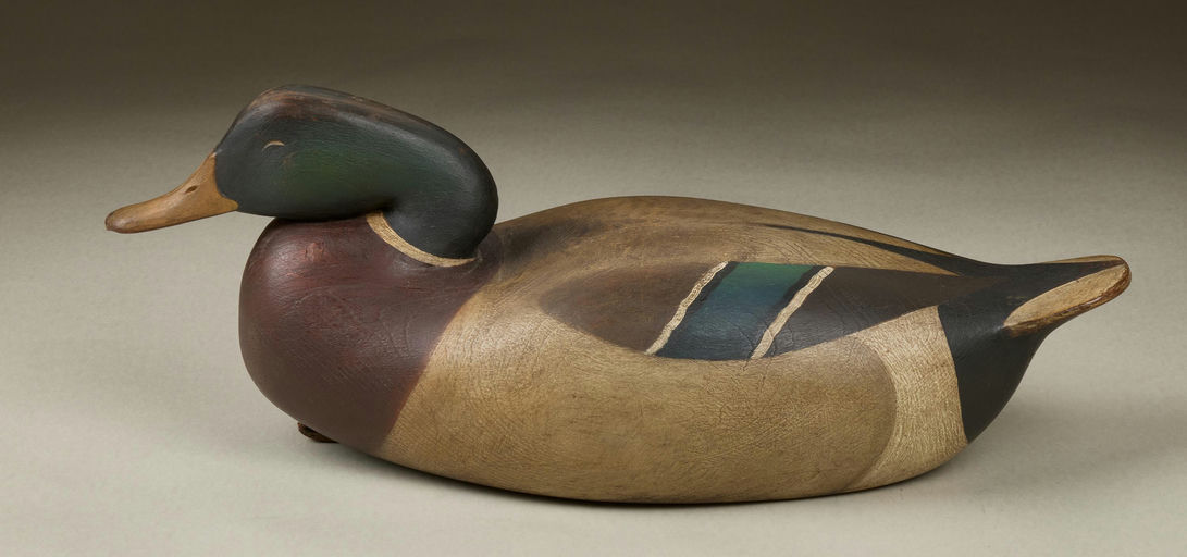 Cameron McIntyre – Mallard – 2025