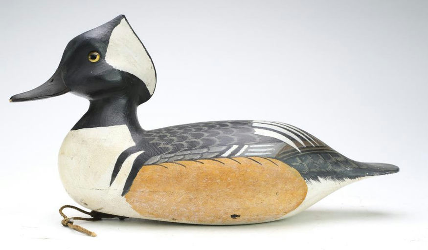 Harry V. Shourds – Hooded Merganser – 2024