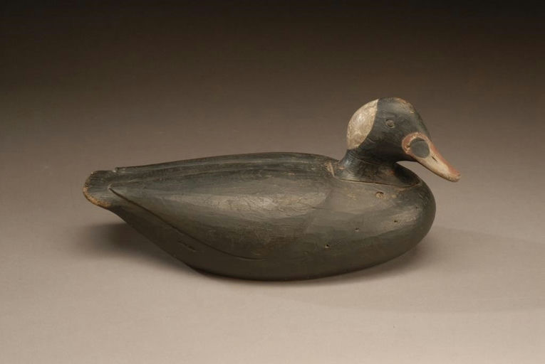 Gus Wilson – Surf Scoter – 2008
