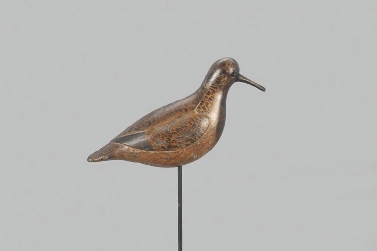 Verity Family – Black-Bellied Plover – 2022