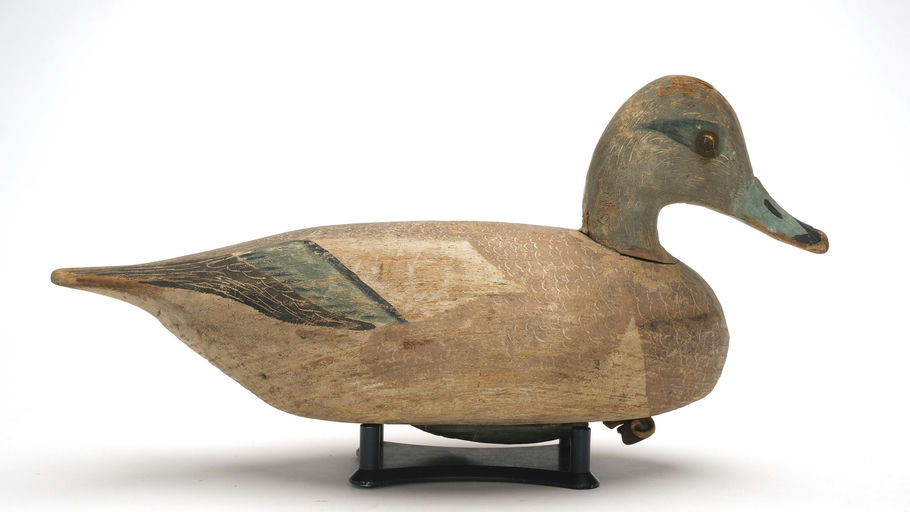Miles Hancock – Wigeon – 2026