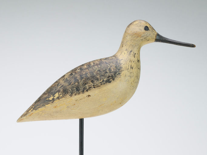 Harry V. Shourds – Yellowlegs – 2024