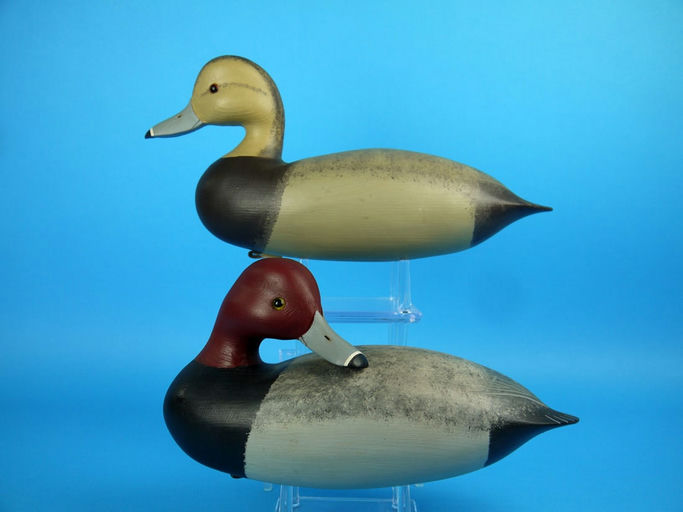 Charles R. Birdsall – Redhead Pair – 2026