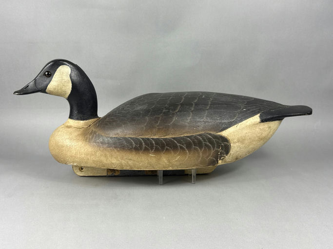 Ward Brothers – Canada goose – 2026