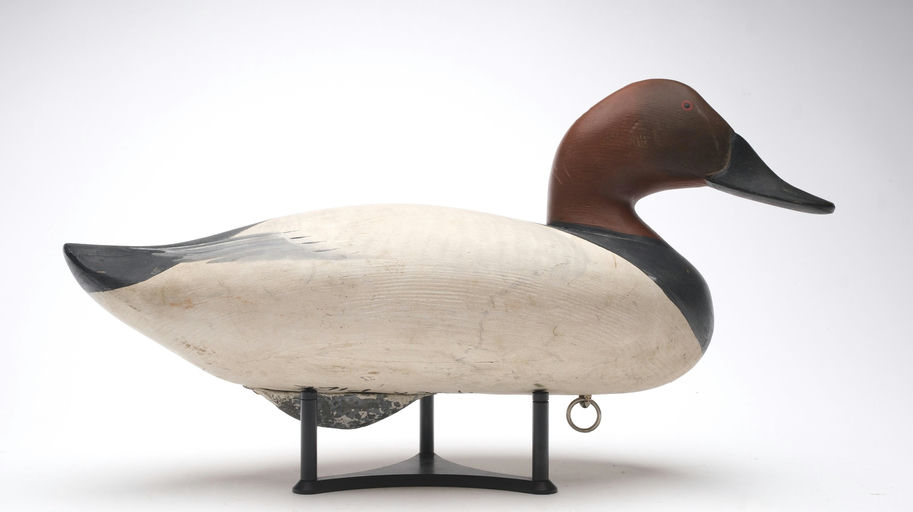 R. Madison Mitchell – Canvasback – 2026