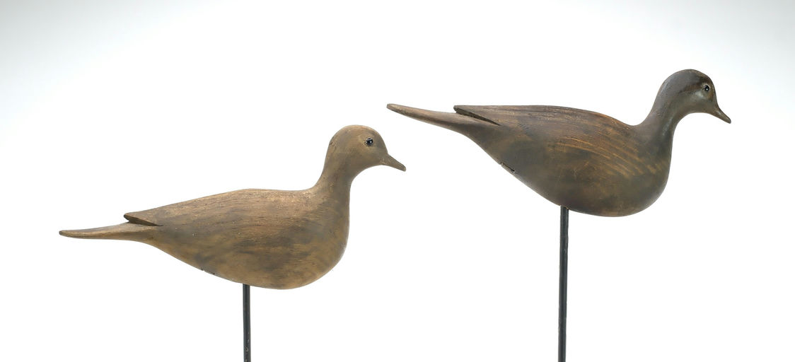 Grayson Chesser – Two Mourning Doves – 2025