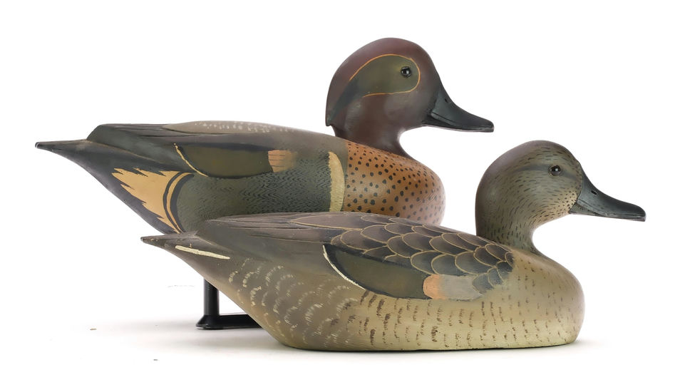 David W. Nichol – Green-winged Teal – 2024