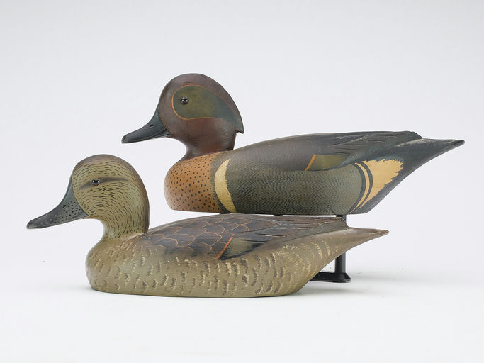 David W. Nichol – Green-winged Teal – 2024