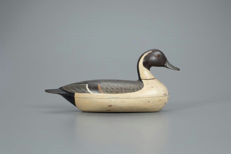 Charles Perdew – Pintail Drake – 2020