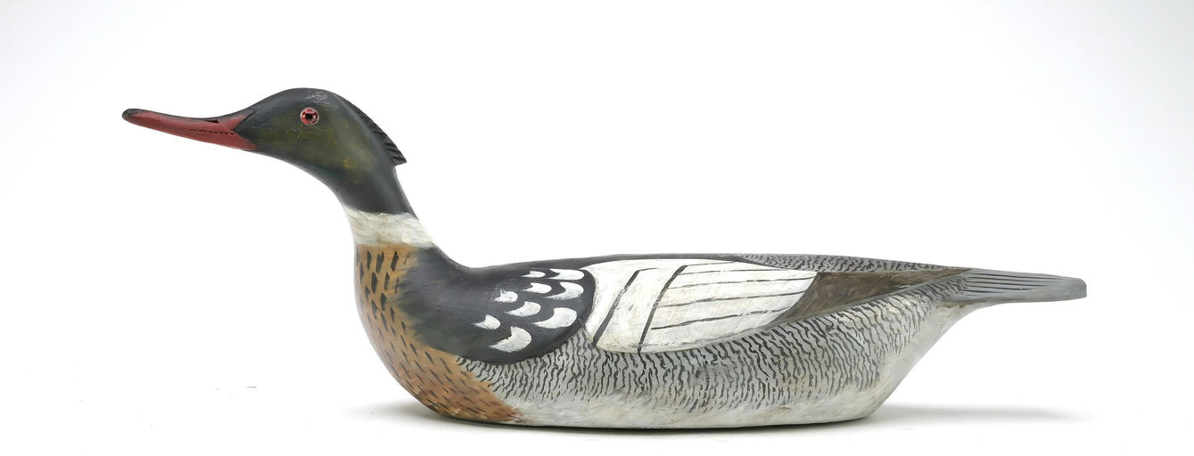 Reggie Birch – Merganser – 2025