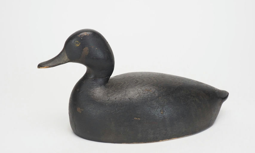 George Warin — Bluebill Hen
