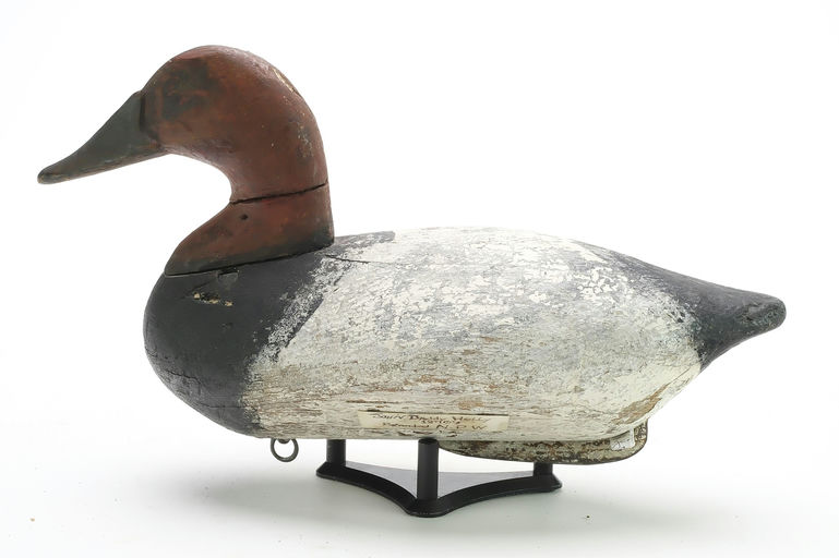 John Daddy Holly – Canvasback – 2024