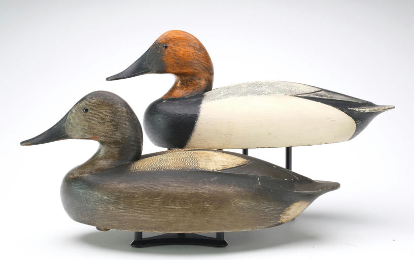 Ken Anger – Canvasback – 2024