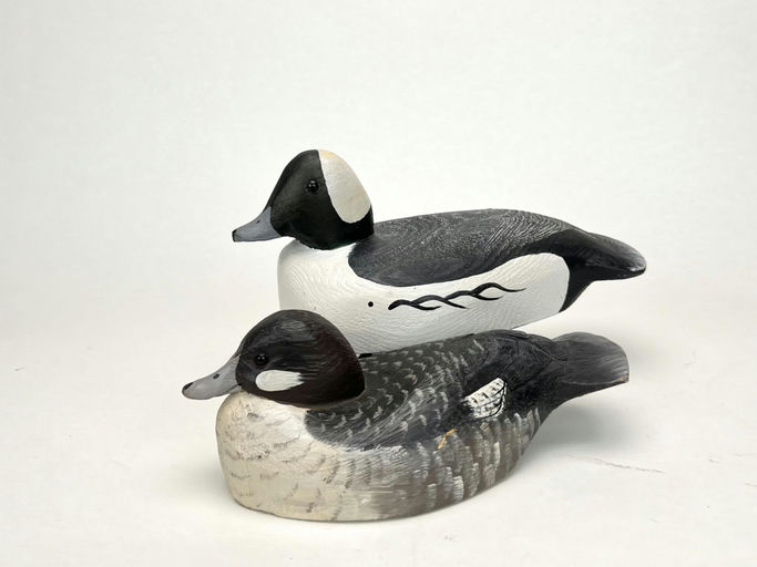 Tom Martindale — Bufflehead Pair
