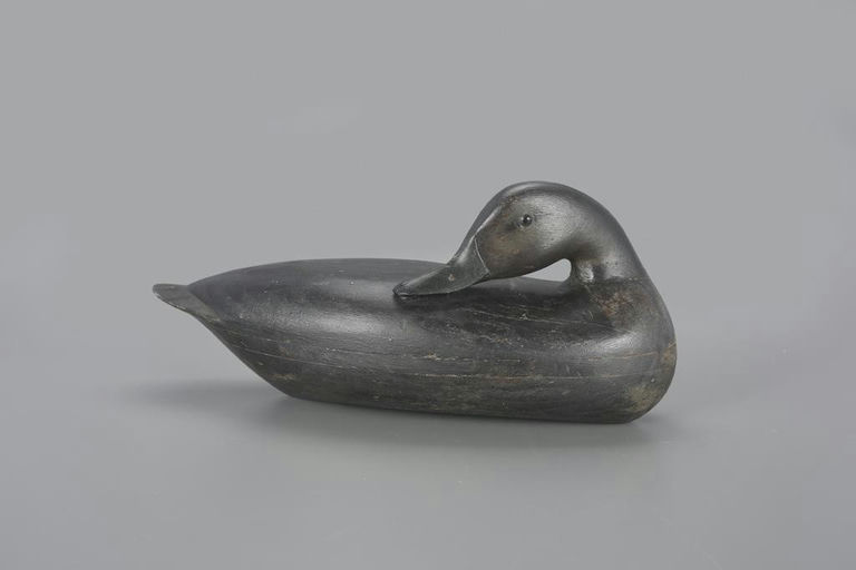 Charles Perdew – The Perdew Preening Black Duck – 2023