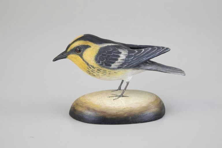 Frank Finney – Blackburnian Warbler – 2026