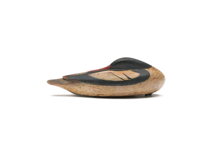 Mark McNair – Miniature Sleeping Merganser – 2026