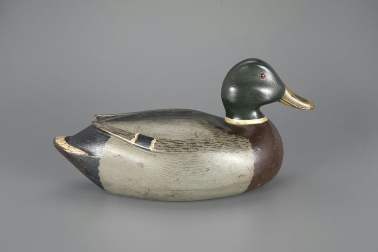 Warren Dettman – Mallard – 2024