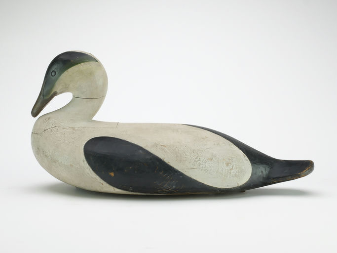 Mark McNair – Eider – 2024