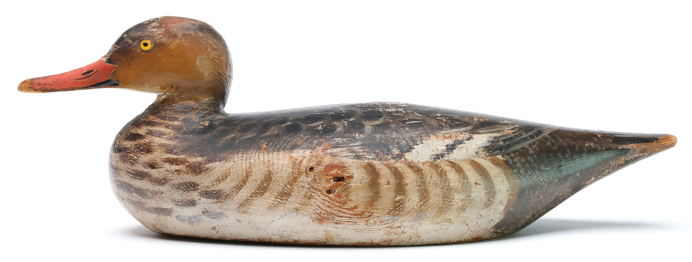 Elmer Crowell – Merganser Hen – 2026