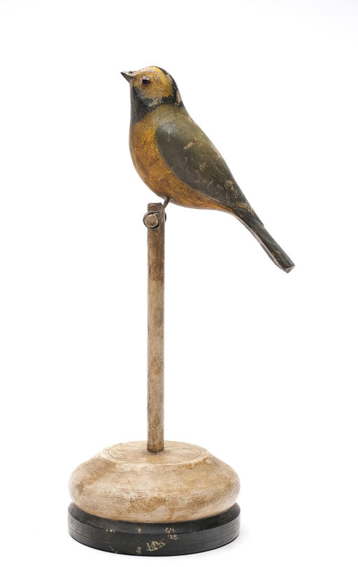 Frank Finney – Hooded Warbler On "t" Post With Raised V – 2026
