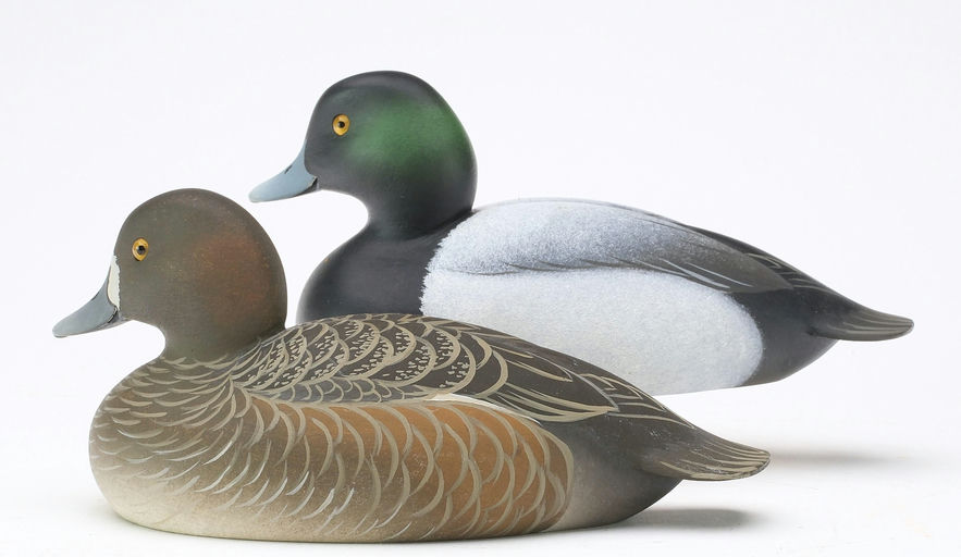 Oliver Lawson – Pair of Bluebill – 2024