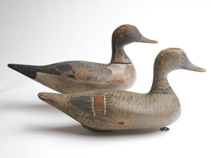 Bob McGaw – Pair of Pintail – 2023