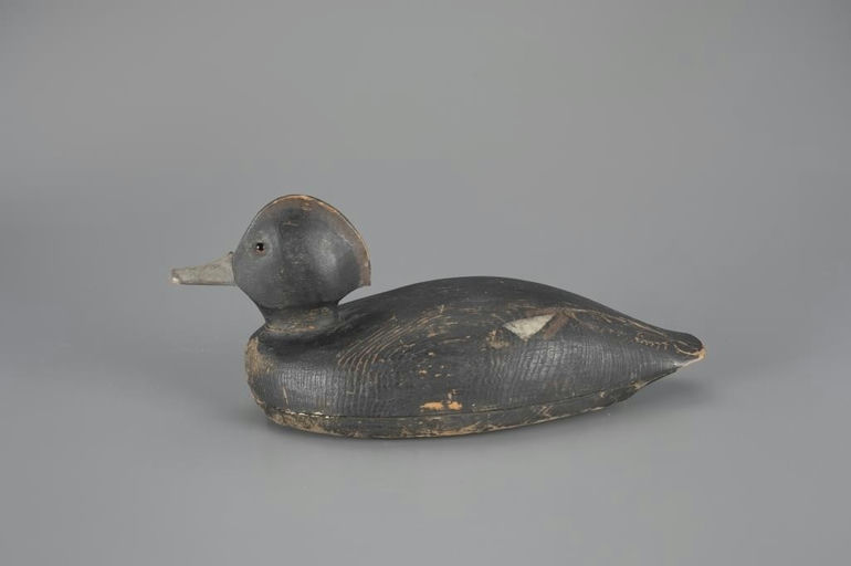 Edgar McNeil – Hooded Merganser Hen – 2024