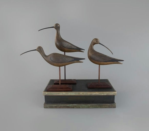 Mark McNair – Rig of Three Long-Billed Curlew – 2025